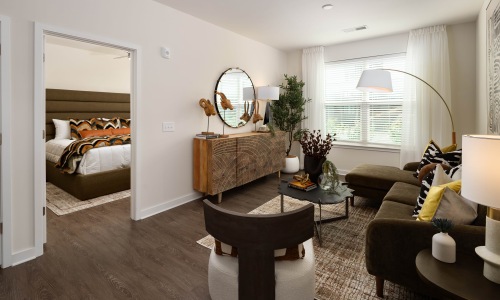Beautiful living room with designer finishes